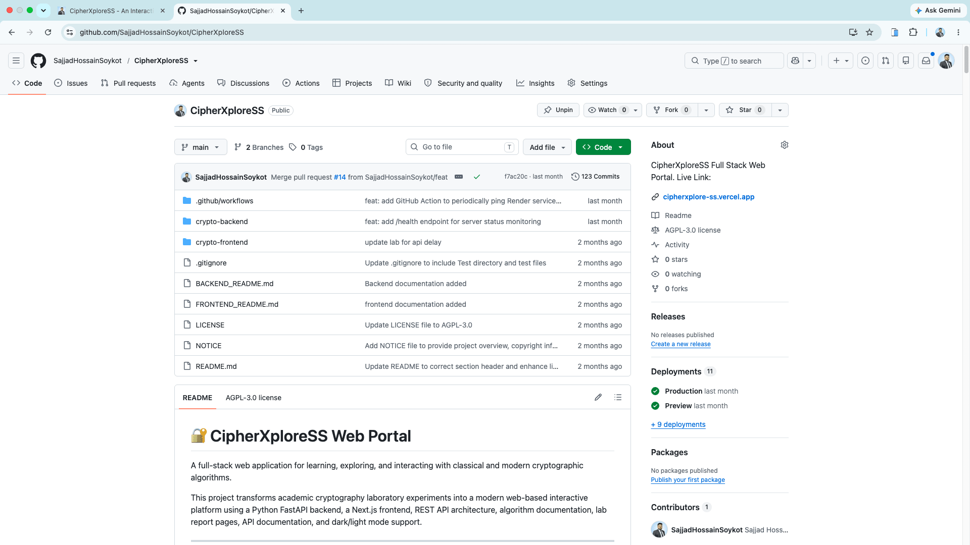 CipherXploreSS GitHub repository